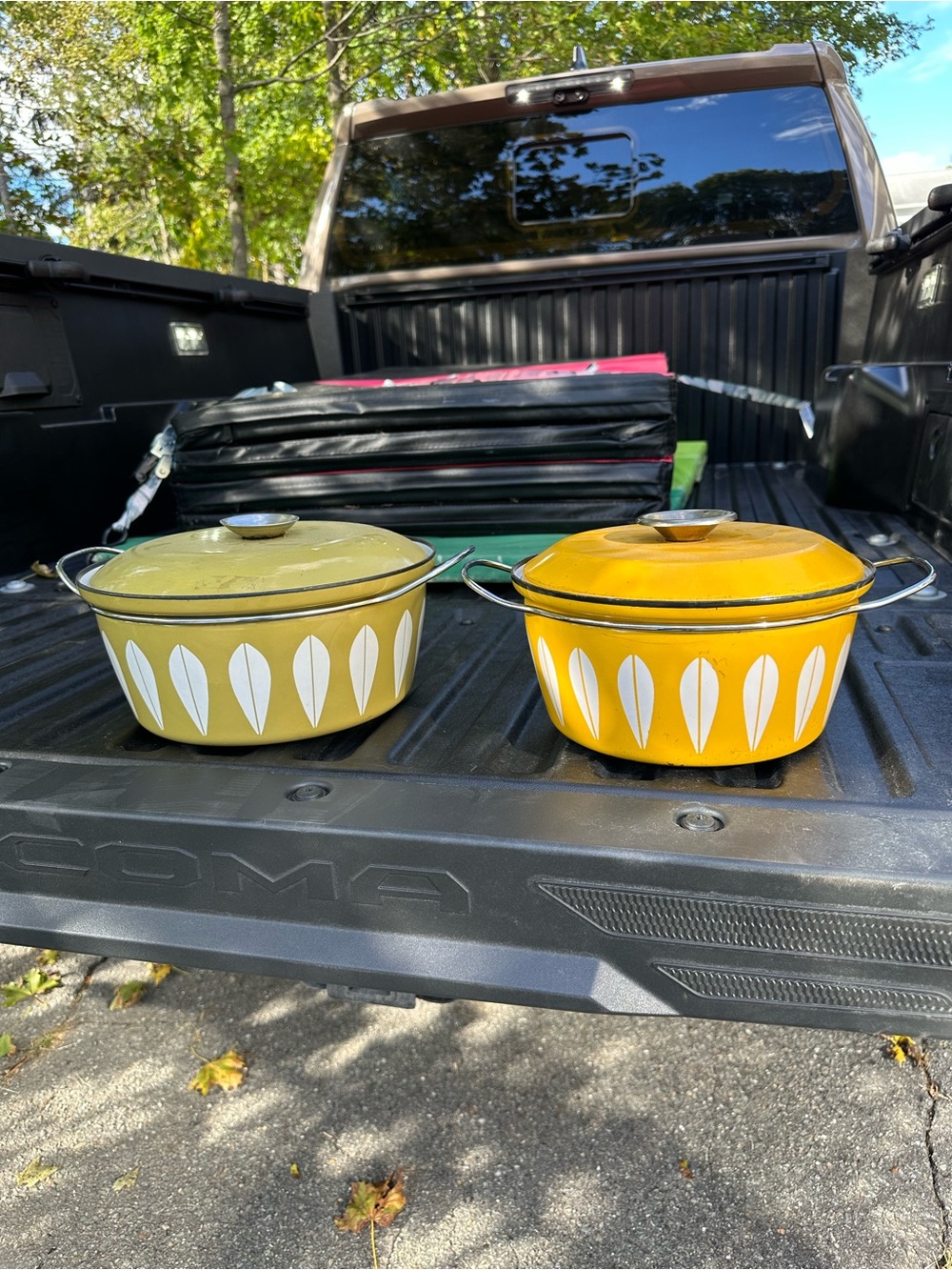 2 Catherineholm Dutch ovens